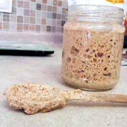 My starter – a love story